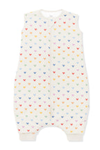 Sleep Bag Walker in Pastel Mickey Mouse 1.0
