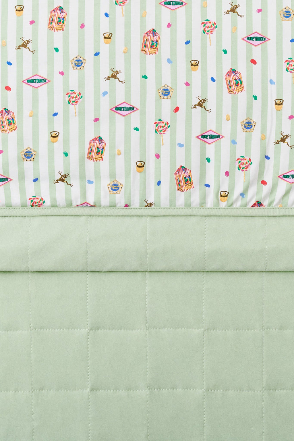 Youth Blanket in Honeydukes 1.0
