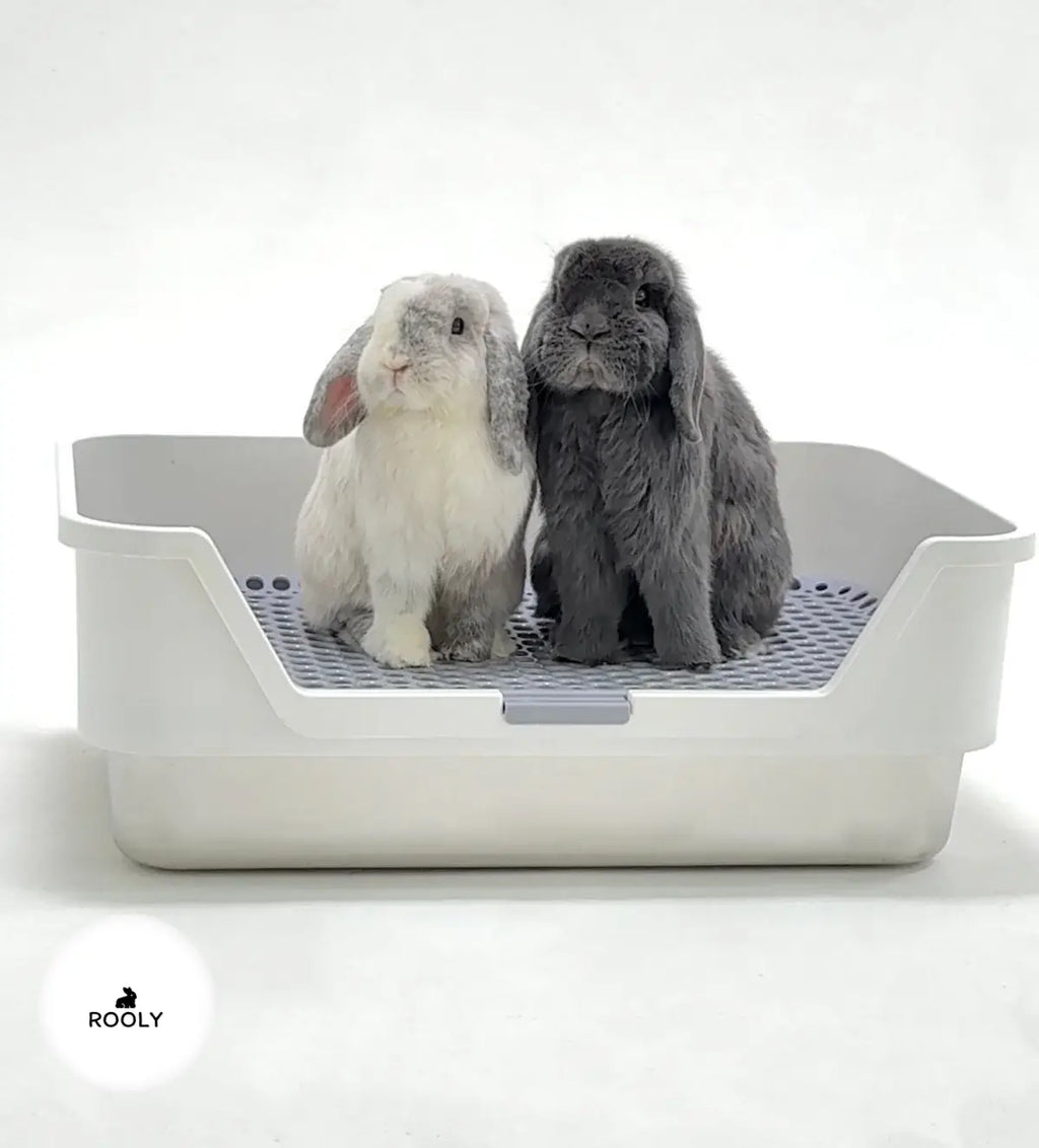 ROOLY Stainless Rabbit Litter Box