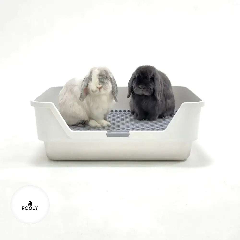 ROOLY Stainless Rabbit Litter Box